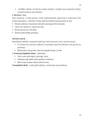 Organizacinė kultūra ir jos funkcijos 10 puslapis