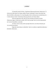 Pagrindiniai dokumentų įforminimo reikalavimai 2 puslapis