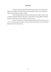 Pagrindiniai dokumentų įforminimo reikalavimai 14 puslapis