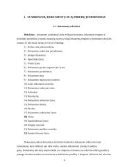 Pagrindiniai dokumentų įforminimo reikalavimai 5 puslapis