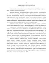 Pardavimų skatinimo priemonės: UAB "VP Market" 11 puslapis