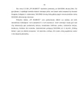 Pardavimų skatinimo priemonės: UAB "VP Market" 17 puslapis