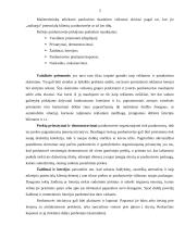 Pardavimų skatinimo priemonės: UAB "VP Market" 4 puslapis