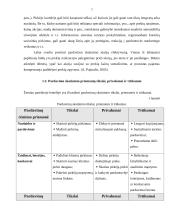 Pardavimų skatinimo priemonės: UAB "VP Market" 6 puslapis