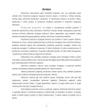 Pardavimų strategija 2 puslapis