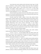 Pardavimų strategija 11 puslapis