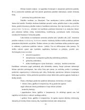 Pardavimų strategija 13 puslapis