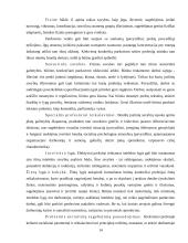 Pardavimų strategija 14 puslapis