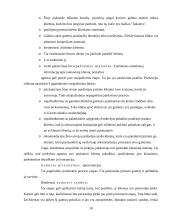 Pardavimų strategija 18 puslapis