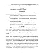 Pardavimų strategija 3 puslapis