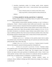 Pardavimų strategija 9 puslapis