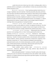 Pardavimų strategija 10 puslapis