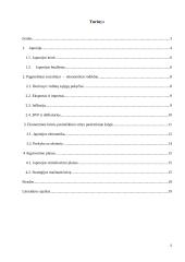 Pasaulinė ekonominė krizė ir Japonijos atgaivinimo planas 2 puslapis