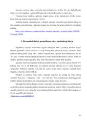 Pasaulinė ekonominė krizė ir Japonijos atgaivinimo planas 11 puslapis