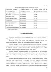 Pasaulinė ekonominė krizė ir Japonijos atgaivinimo planas 12 puslapis