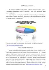 Pasaulinė ekonominė krizė ir Japonijos atgaivinimo planas 14 puslapis