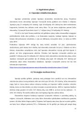 Pasaulinė ekonominė krizė ir Japonijos atgaivinimo planas 15 puslapis