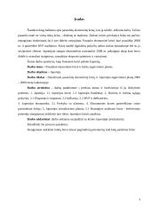 Pasaulinė ekonominė krizė ir Japonijos atgaivinimo planas 3 puslapis