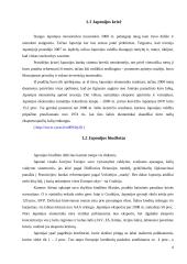 Pasaulinė ekonominė krizė ir Japonijos atgaivinimo planas 6 puslapis