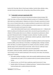 Pasaulio banko veiklos Lietuvoje ir jo politikos įvertinimas 14 puslapis