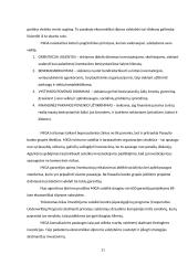 Pasaulio banko veiklos Lietuvoje ir jo politikos įvertinimas 20 puslapis