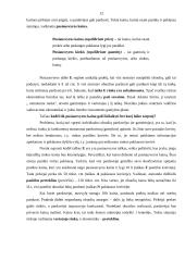 Pasiūlos ir paklausos pusiausvyra 12 puslapis