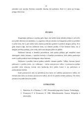 Pasiūlos ir paklausos pusiausvyra 14 puslapis