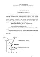 Pasiūlos ir paklausos pusiausvyra 10 puslapis