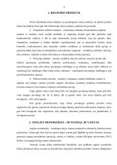 Pavojingiausi objektai Lietuvoje 2 puslapis