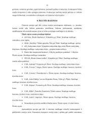 Pavojingiausi objektai Lietuvoje 13 puslapis