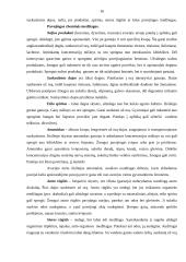 Pavojingiausi objektai Lietuvoje 14 puslapis