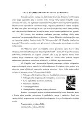 Pavojingiausi objektai Lietuvoje 4 puslapis