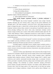 Pavojingiausi objektai Lietuvoje 5 puslapis