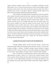 Pavojingiausi objektai Lietuvoje 6 puslapis