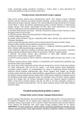 Pensijų sistemos formavimasis 2 puslapis