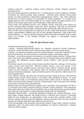 Pensijų sistemos formavimasis 5 puslapis