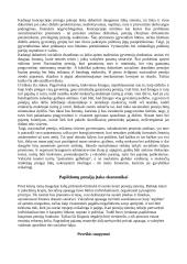 Pensijų sistemos formavimasis 6 puslapis