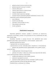 Pervežimo procesas ir INCOTERMS sąlygos 4 puslapis