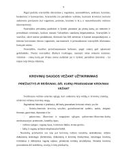 Pervežimo procesas ir INCOTERMS sąlygos 8 puslapis