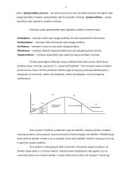 Pirkėjo sprendimo pirkti naujus produktus priėmimas 5 puslapis