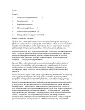 Kainų politika lizingo rinkoje