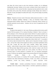 Prancūzija ir viskas apie ją 19 puslapis