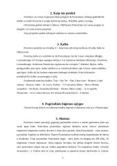 Prancūzija ir viskas apie ją 3 puslapis