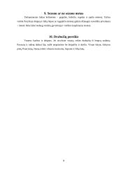 Prancūzija ir viskas apie ją 8 puslapis