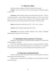 Prancūzija ir viskas apie ją 10 puslapis