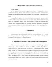 Pratraukimas 17 puslapis