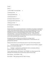 UAB “Rodiklis” veikla