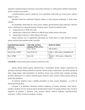 Pridėtinės vertės mokestis Lietuvoje ir Europos Sąjungoje (ES) 11 puslapis