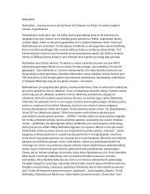 Apie Šalčininkų miestelį