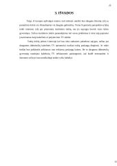 Prisijungimas prie interneto naudojant TV tinklus 20 puslapis